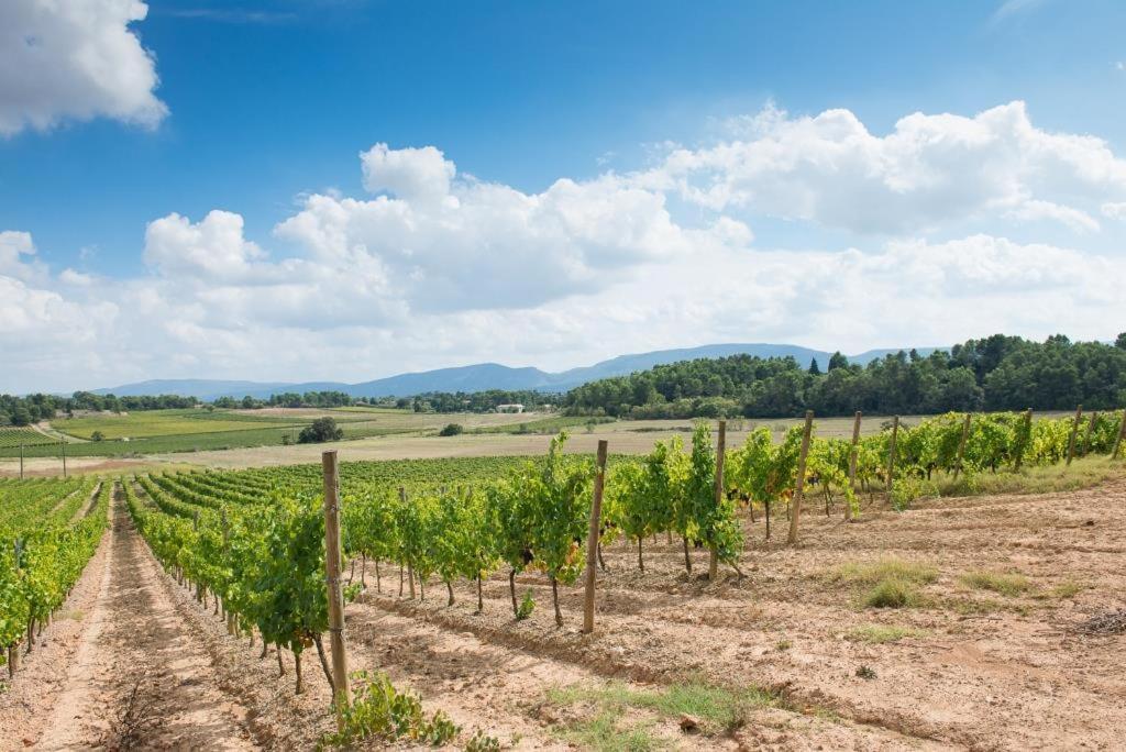 Château Canet Vila Rustiques Exterior foto